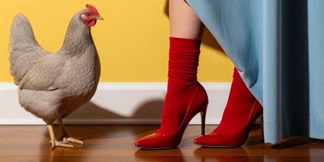 Agrarmarketing 2026: 4 Trends, die über den Tellerrand hinausblicken.