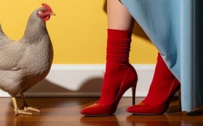 Agrarmarketing 2026: 4 Trends, die über den Tellerrand hinausblicken.